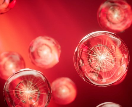 Red and near-infrared light are absorbed by Cytochrome C Oxidase (CCO)